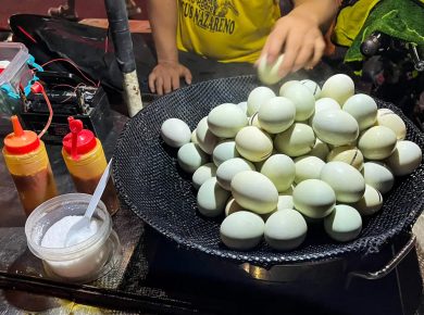 eendenfok project Filipijnen